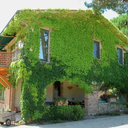 In With Vineyards Olive Groves Сasa de vacaciones *