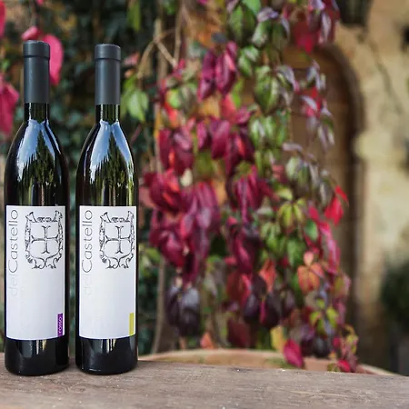 Hébergement de vacances In With Vineyards Olive Groves Marsciano