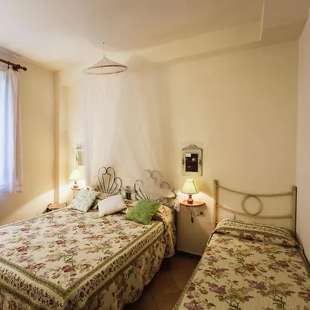 In With Vineyards Olive Groves *