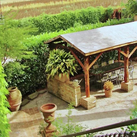 In With Vineyards Olive Groves *