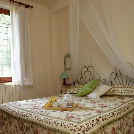 In With Vineyards Olive Groves * Marsciano