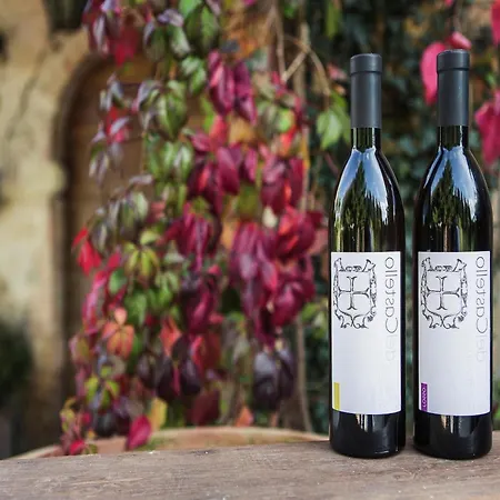 In With Vineyards Olive Groves