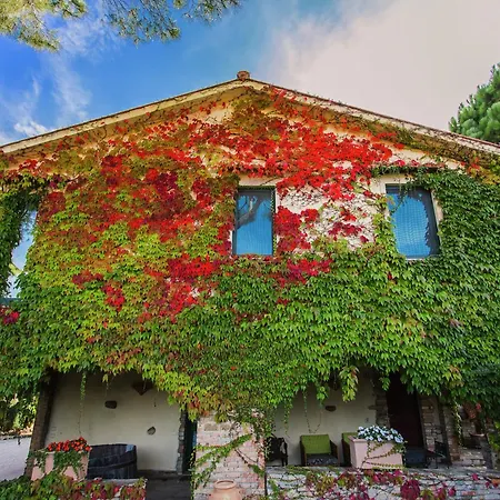Сasa de vacaciones In With Vineyards Olive Groves *