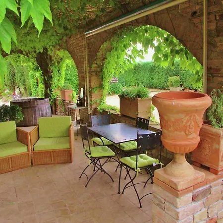 In With Vineyards Olive Groves Marsciano