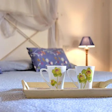 In With Vineyards Olive Groves Marsciano