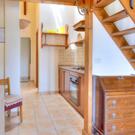 In With Vineyards Olive Groves