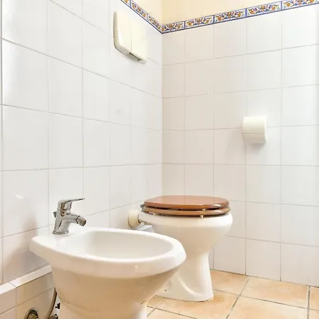 In With Vineyards Olive Groves * Marsciano