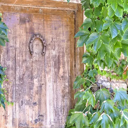 Сasa de vacaciones In With Vineyards Olive Groves