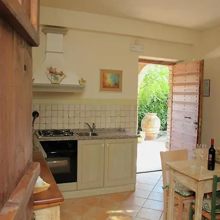 In With Vineyards Olive Groves *