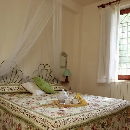 In With Vineyards Olive Groves * Marsciano