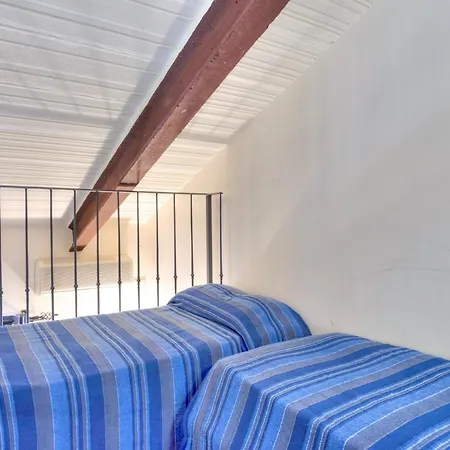 In With Vineyards Olive Groves * Marsciano