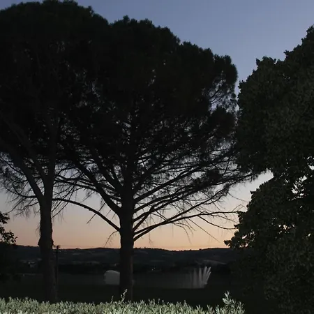 別荘 In With Vineyards Olive Groves マルシャーノ