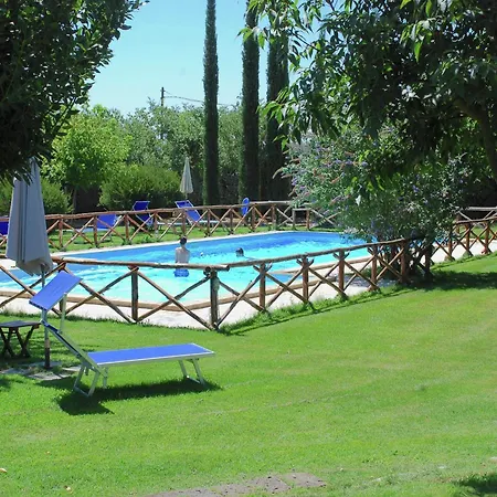 In With Vineyards Olive Groves *