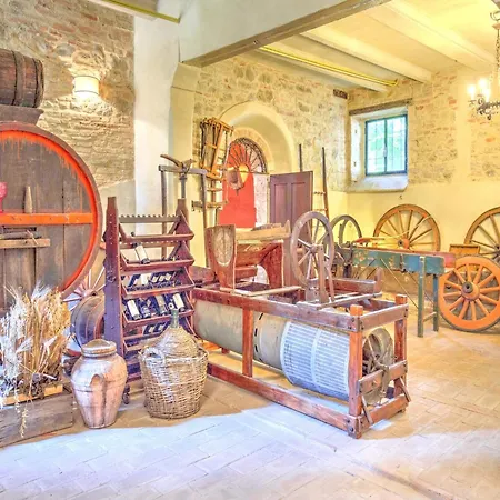 In With Vineyards Olive Groves * Marsciano