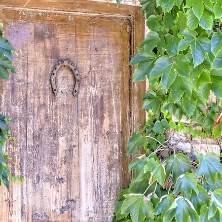 In With Vineyards Olive Groves Tatil Evi *
