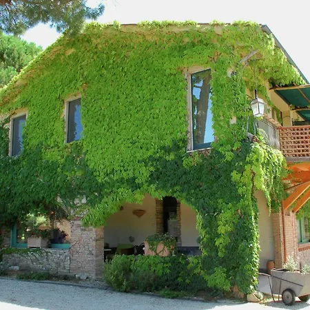 In With Vineyards Olive Groves *