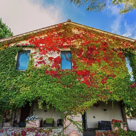 Hébergement de vacances In With Vineyards Olive Groves *